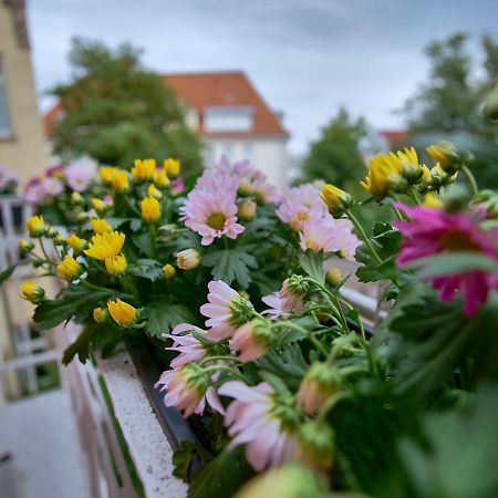 Appartement Otto I - Erfurt Zentrum Dış mekan fotoğraf