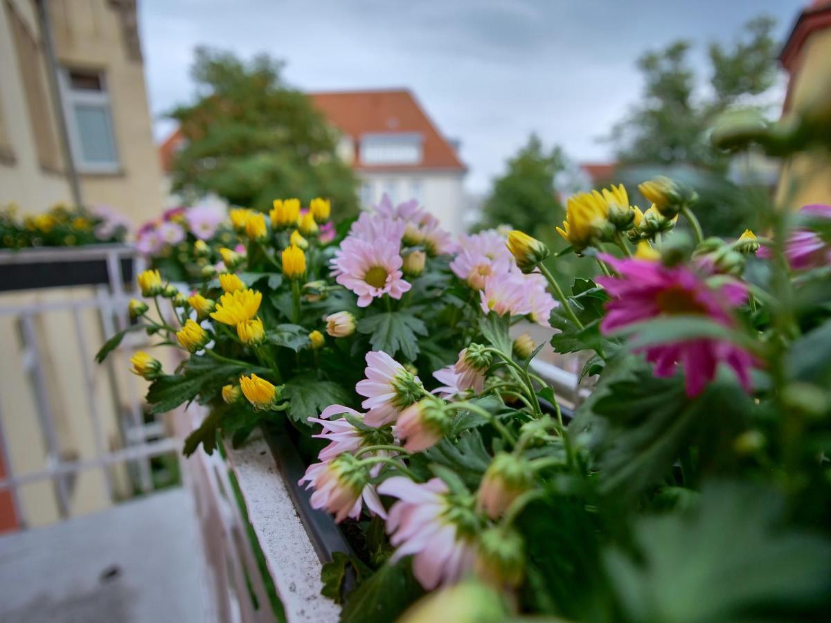 Appartement Otto I - Erfurt Zentrum Dış mekan fotoğraf